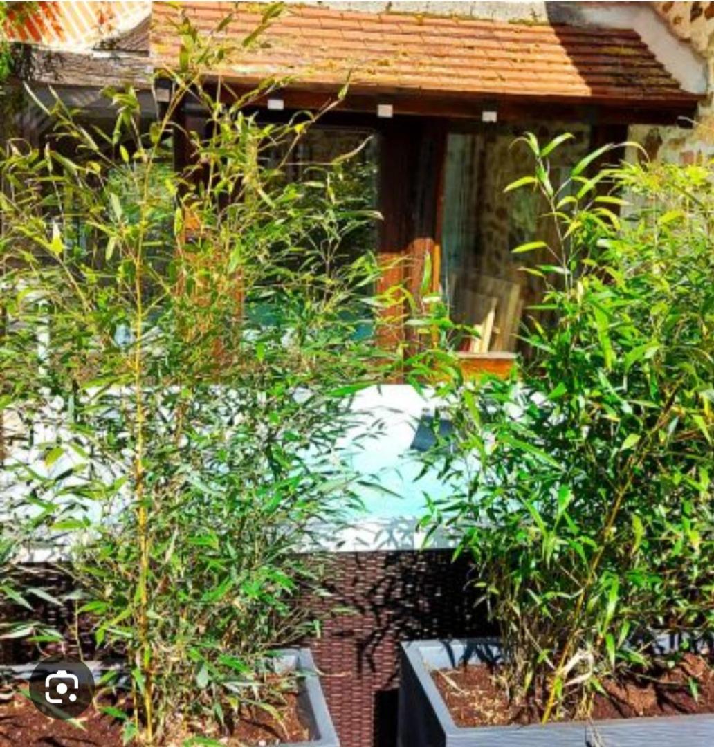 Les 3 Roses Bed & Breakfast Anjouin Bagian luar foto